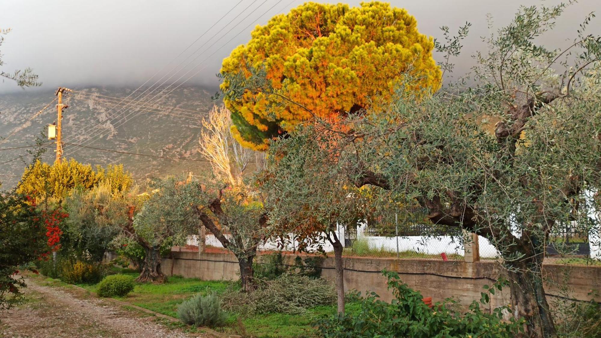 Nafpaktos Cottage By The Sea For Travelers And Dreamers! Luaran gambar