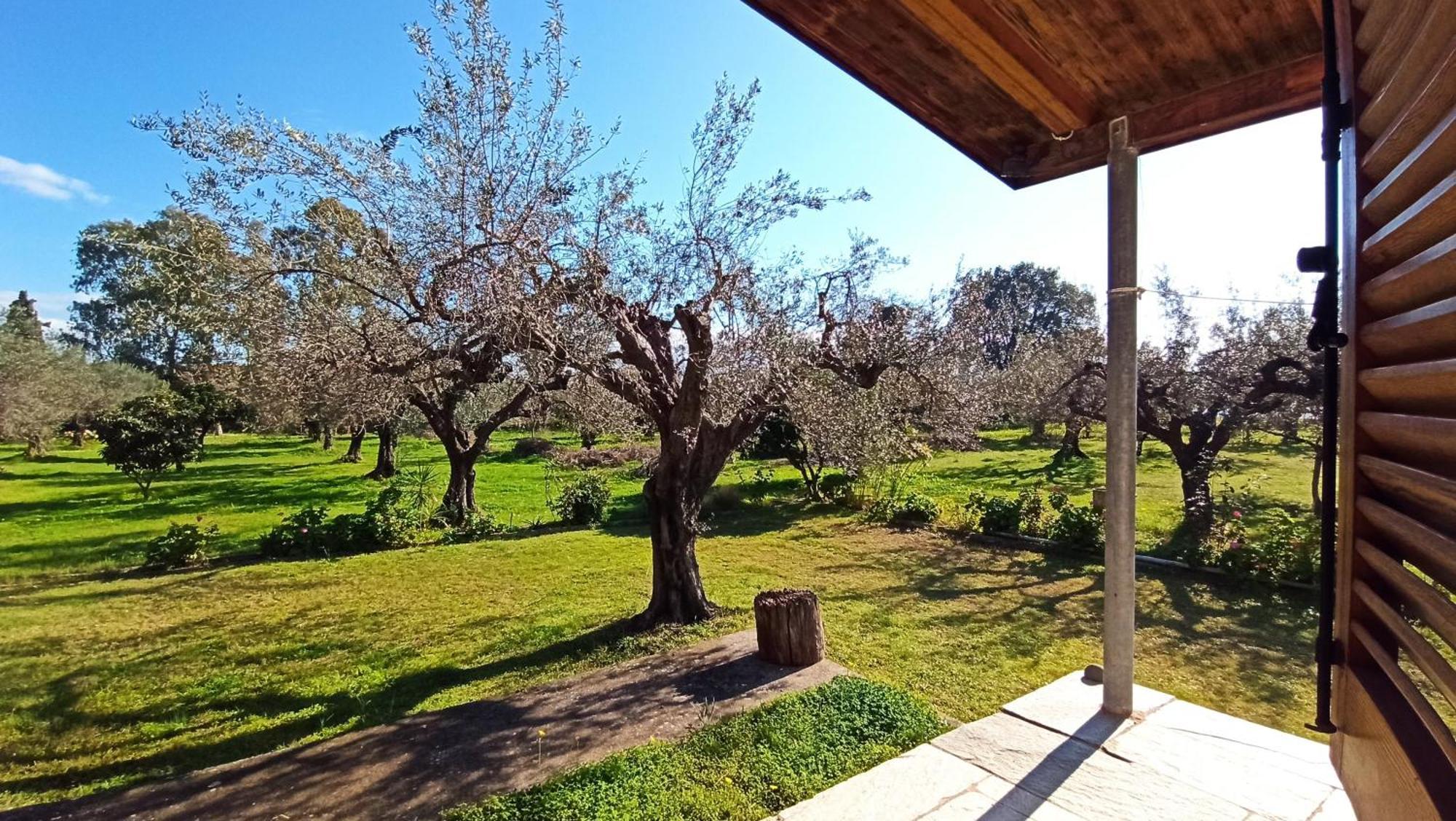 Nafpaktos Cottage By The Sea For Travelers And Dreamers! Luaran gambar