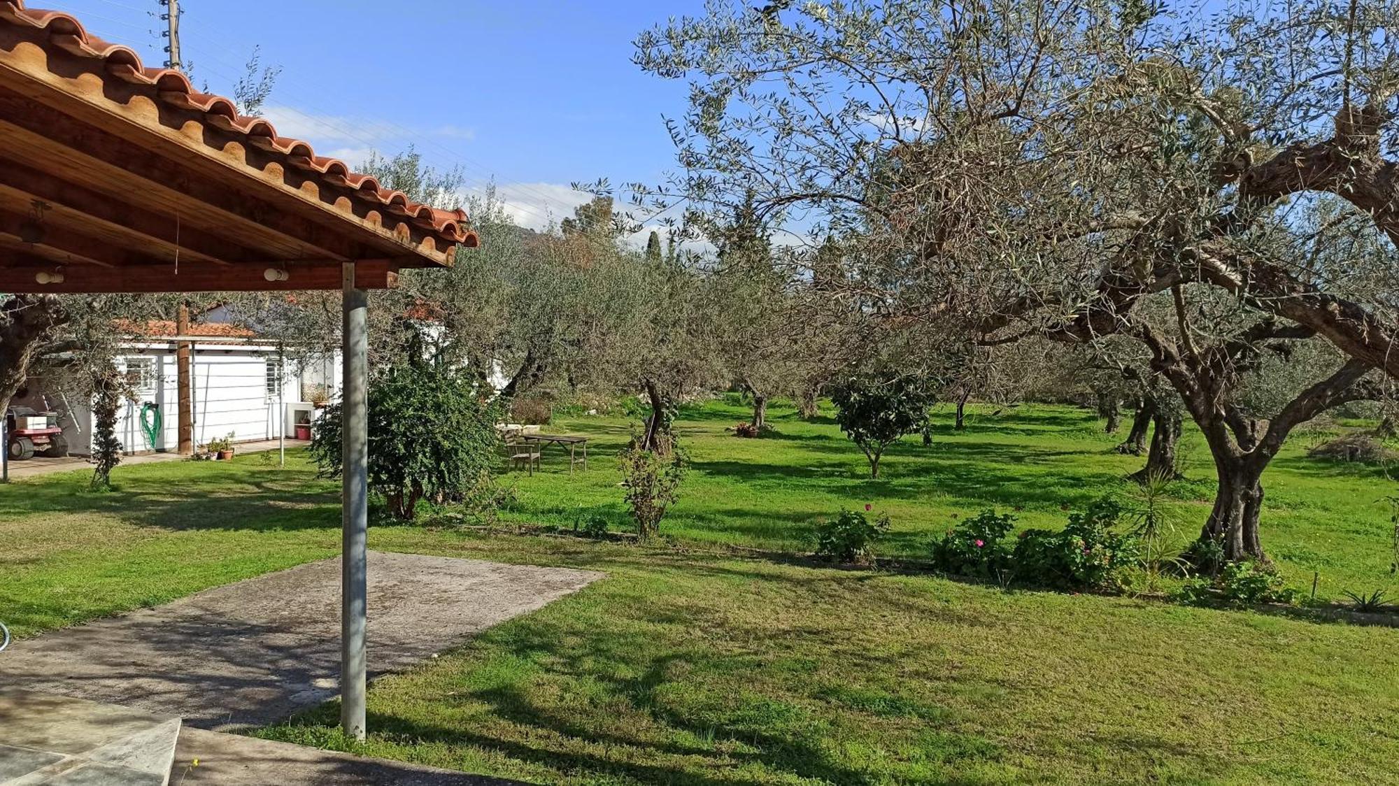 Nafpaktos Cottage By The Sea For Travelers And Dreamers! Luaran gambar
